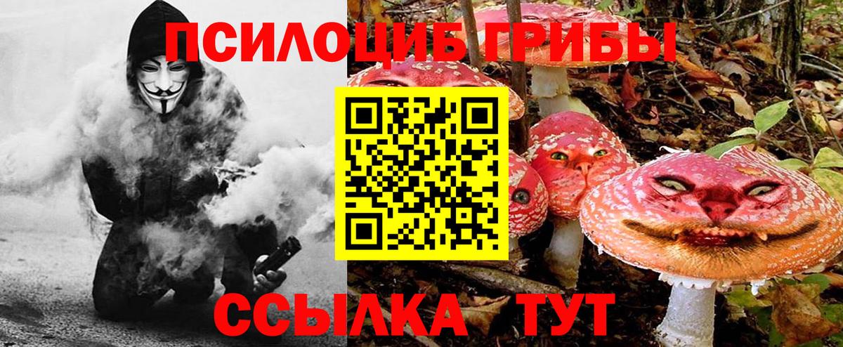 Галлюциногенные грибы GOLDEN TEACHER  Вход с VPN  Родники 